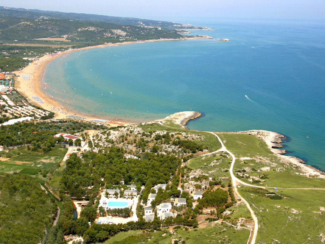 baiaporticello